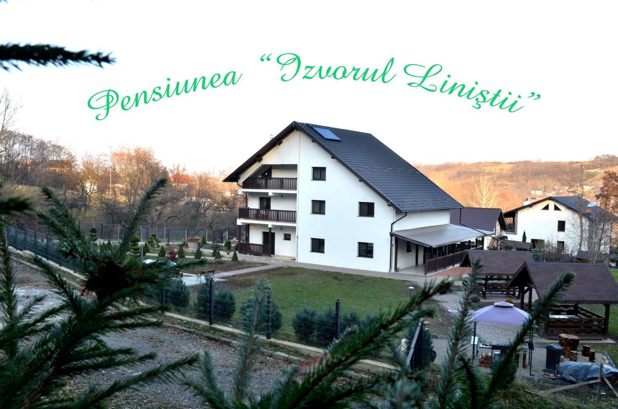 Pensiunea Izvorul Linistii Radaseni Exteriér fotografie