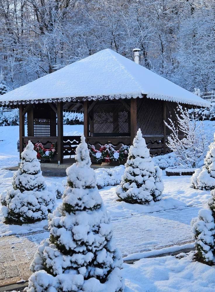Pensiunea Izvorul Linistii Radaseni Exteriér fotografie