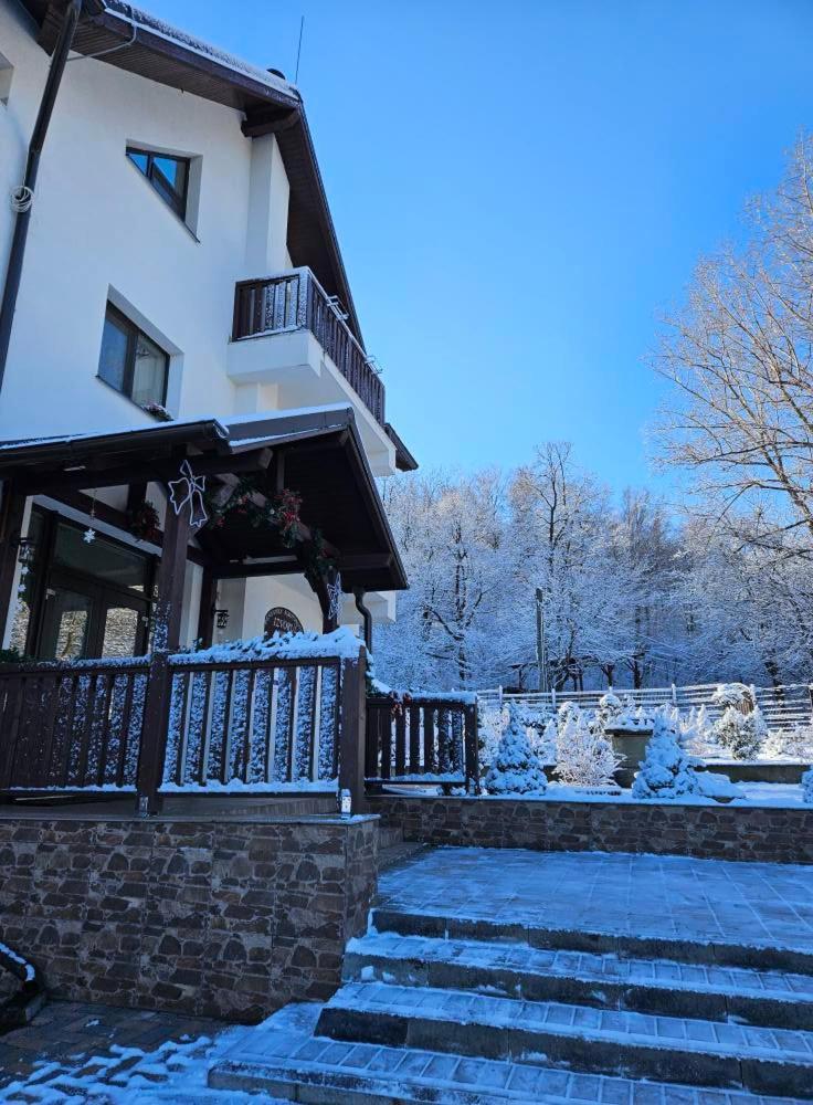 Pensiunea Izvorul Linistii Radaseni Exteriér fotografie